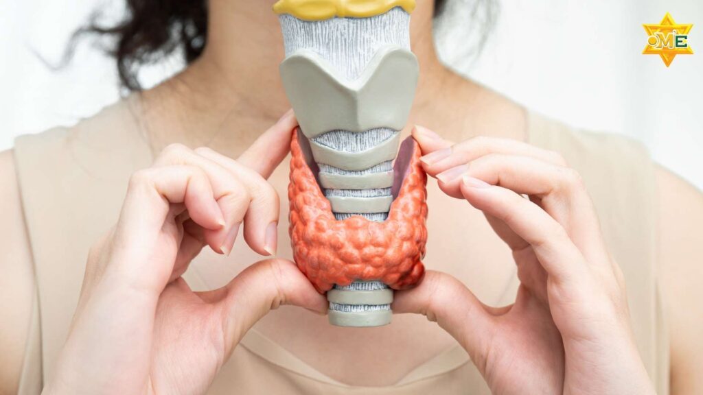 Cường giáp kiêng ăn gì và vai trò dinh dưỡng