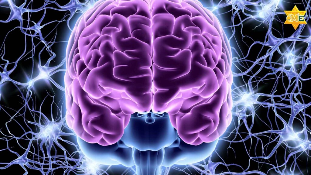 Hình minh họa não bộ và sự phát triển thần kinh của trẻ rối loạn phổ tự kỷ