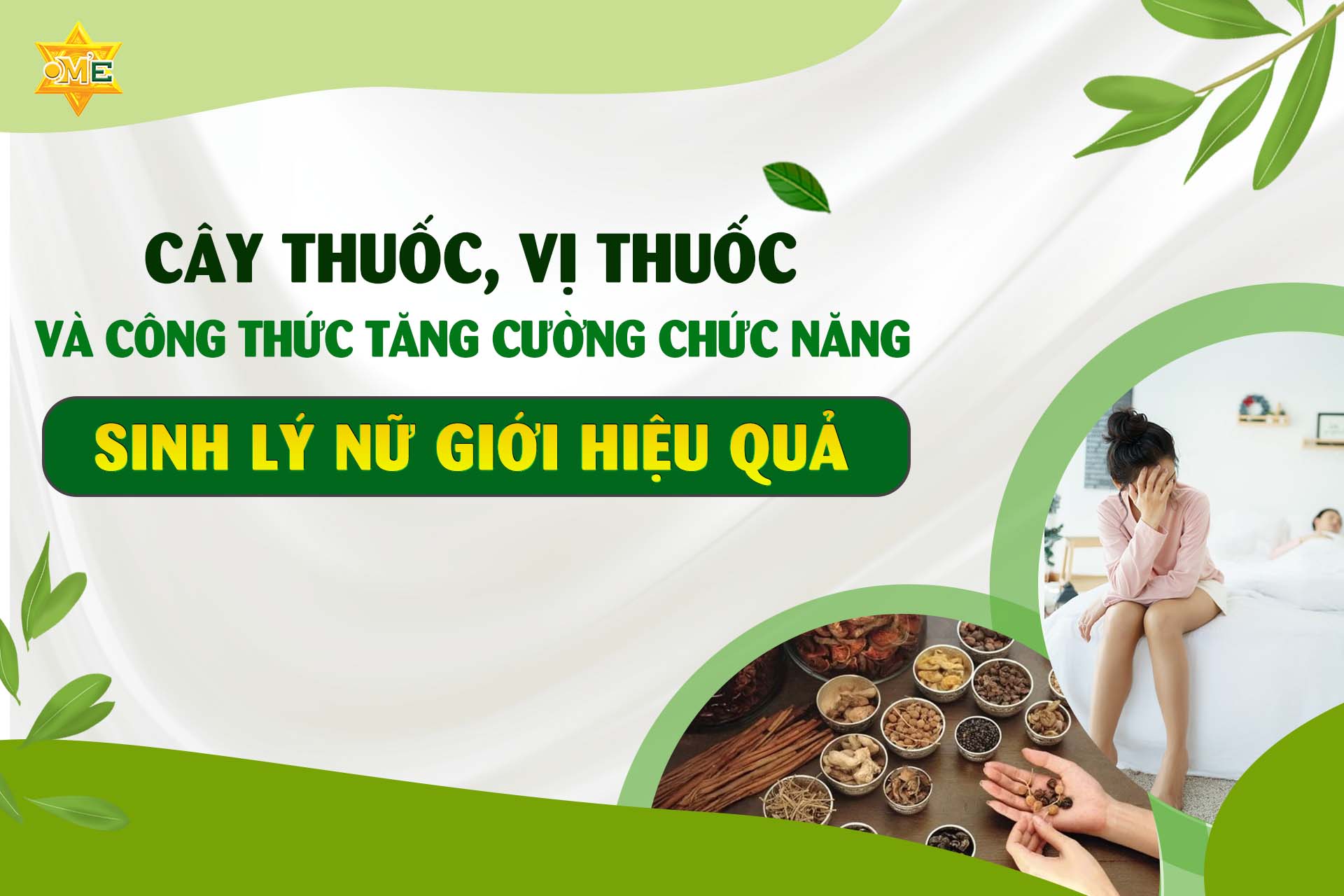 Thực phẩm Cân Bằng Nội Tiết Tố Nữ: Top 15+ Thực Phẩm Vàng Giúp Cải Thiện Sinh Lý Hiệu Quả