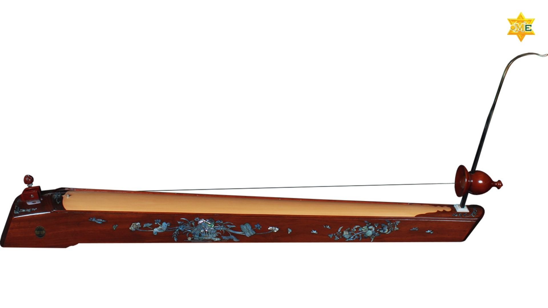 học đàn bầu online