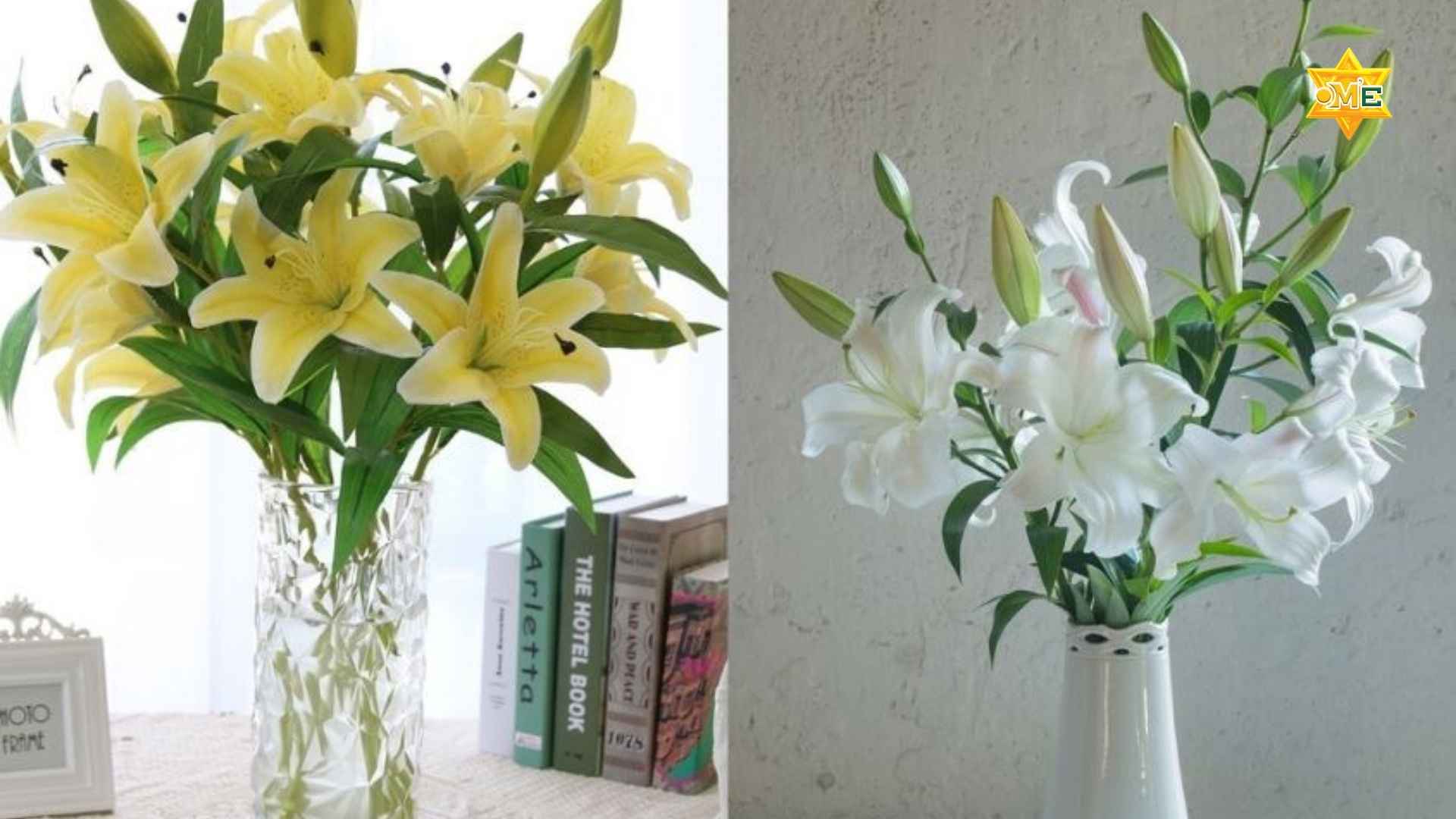 Học Cách Cắm Hoa Tươi