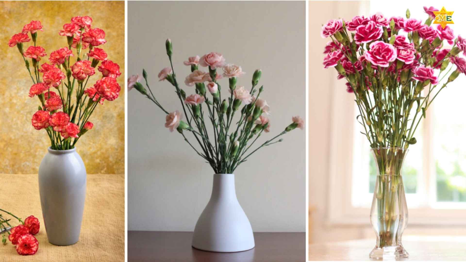 Khoá Học Cắm Hoa Online