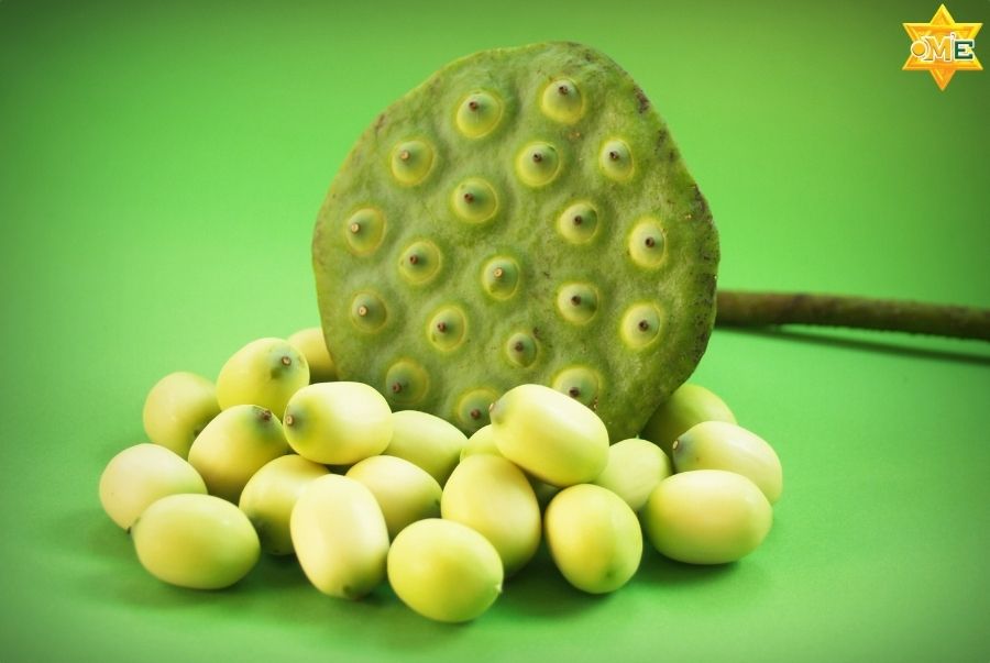 Thực phẩm giúp bổ thận – tăng sinh khí