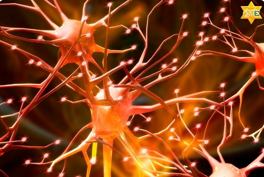 Khóa Học Phục Hồi Thần Kinh Online mang lại những lợi ích gì?