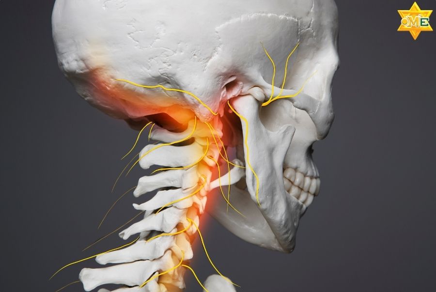 Phương pháp giảng dạy độc quyền: Y Học – Ứng Dụng – Phục Hồi trên nền tảng Online