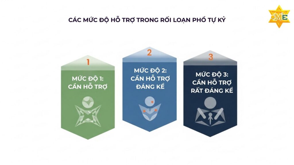Các mức độ hỗ trợ trong rối loạn phổ tự kỷ