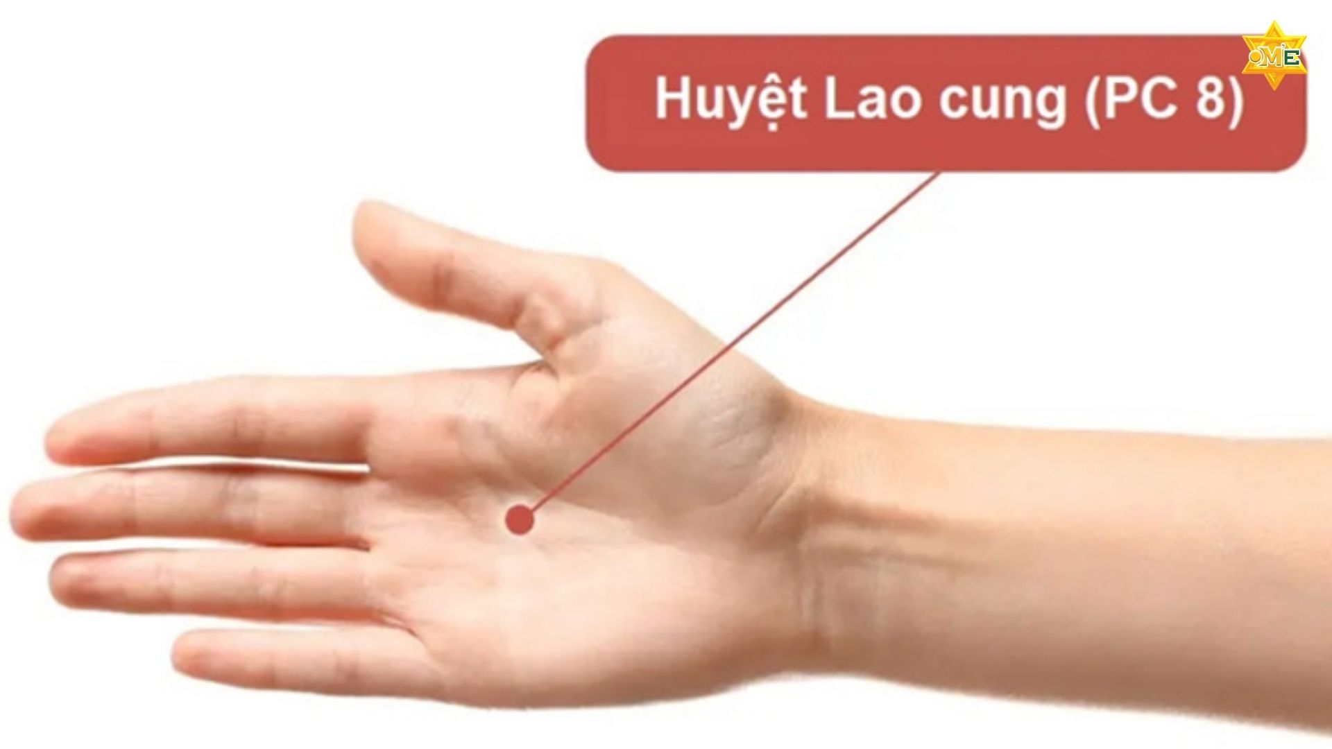 Các Huyệt Bấm Huyệt 10 Đầu Ngón Tay
