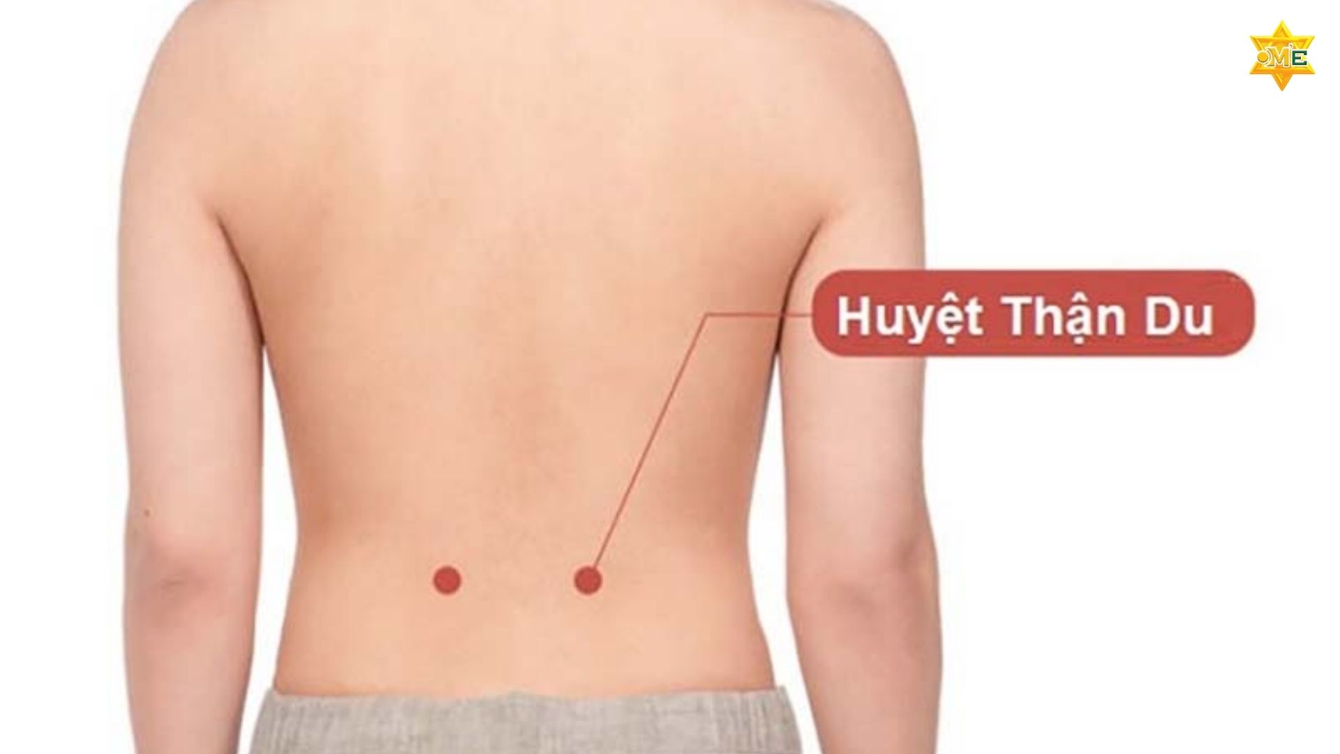 Ấn Huyệt Trị Đau Lưng