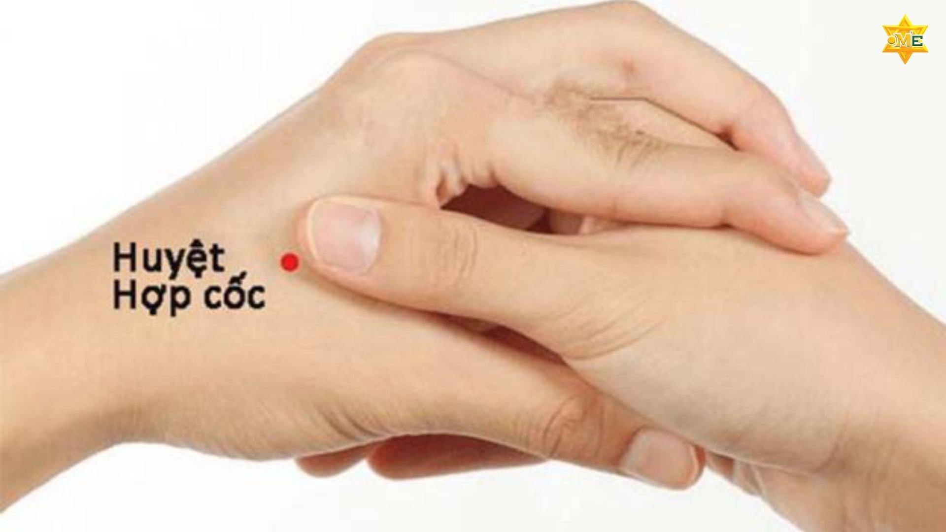 Các Huyệt Bấm Huyệt 10 Đầu Ngón Tay