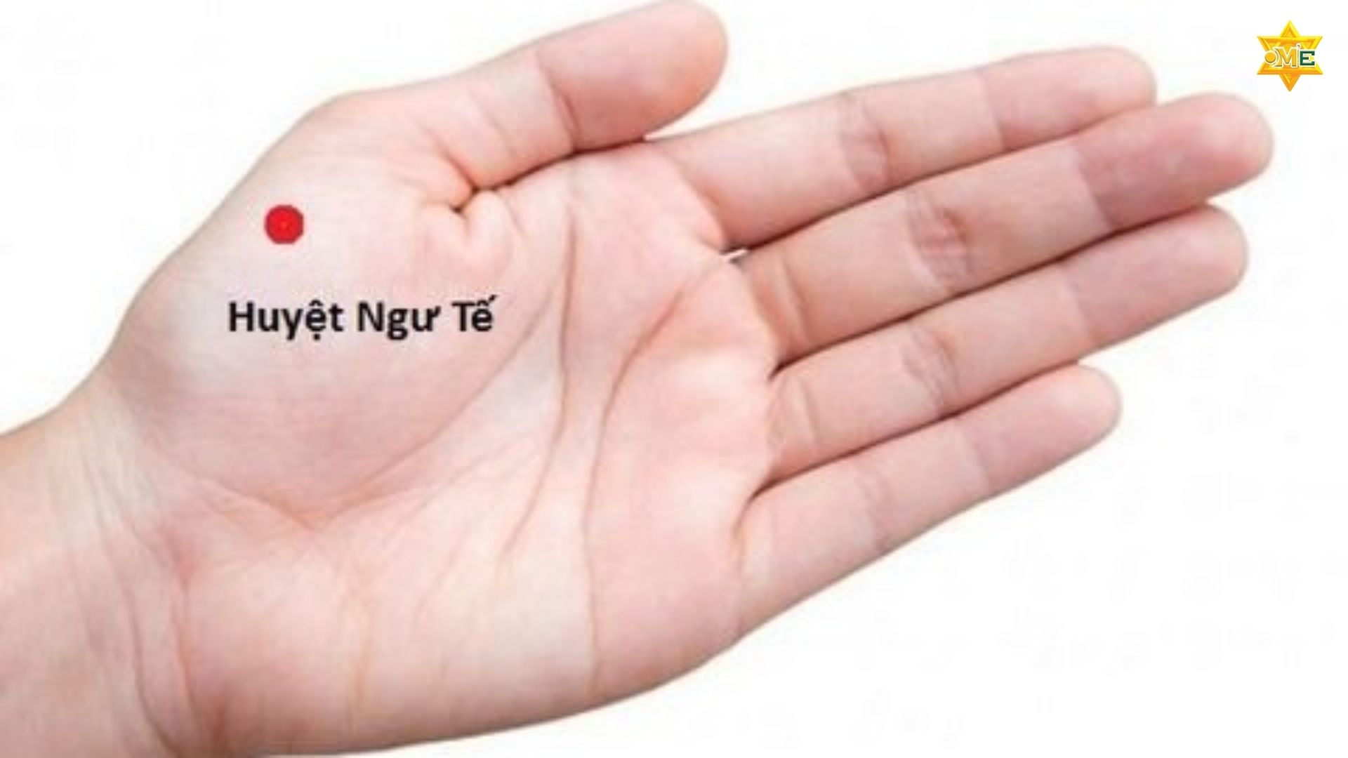 Các Huyệt Bấm Huyệt 10 Đầu Ngón Tay