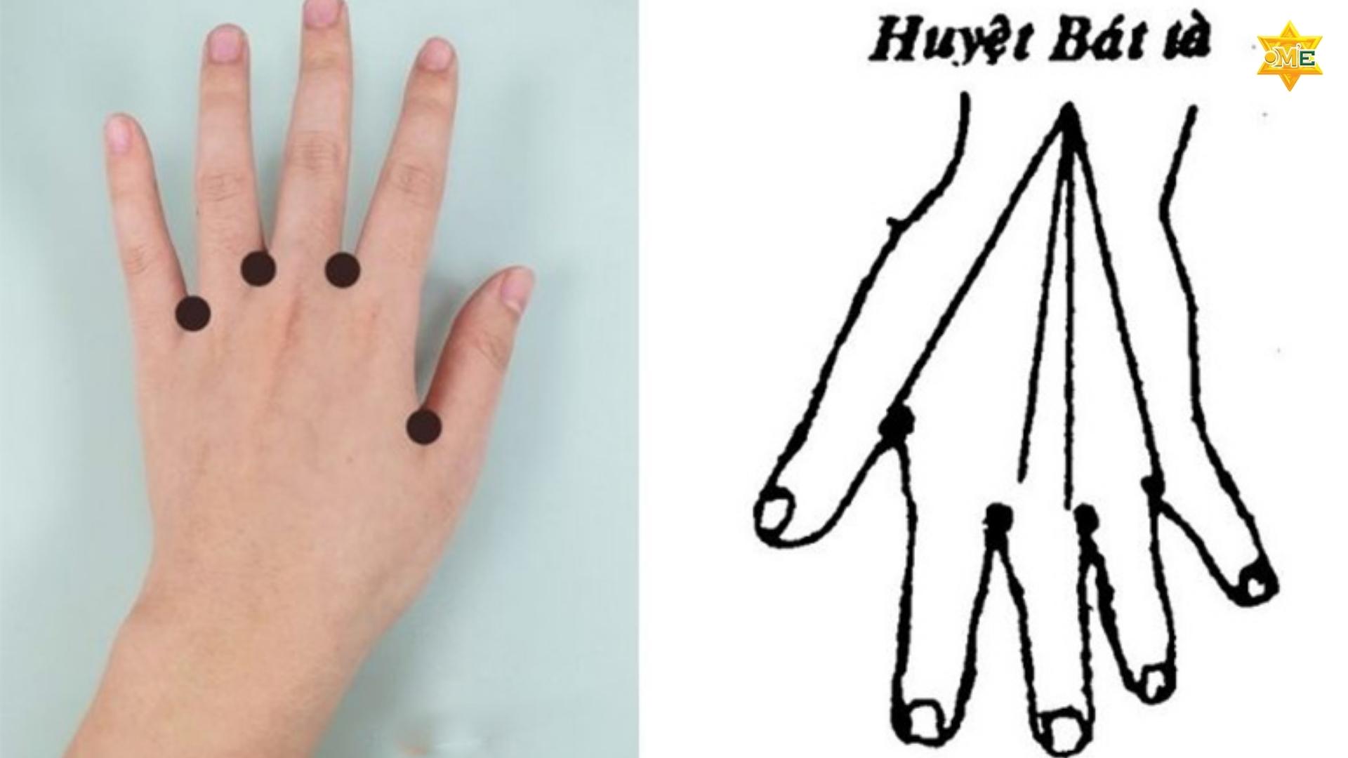 Các Huyệt Bấm Huyệt 10 Đầu Ngón Tay