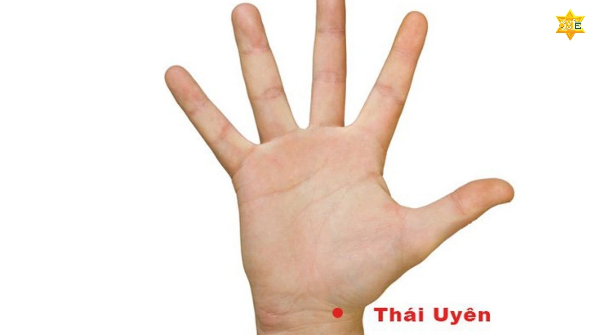 Các Huyệt Bấm Huyệt 10 Đầu Ngón Tay