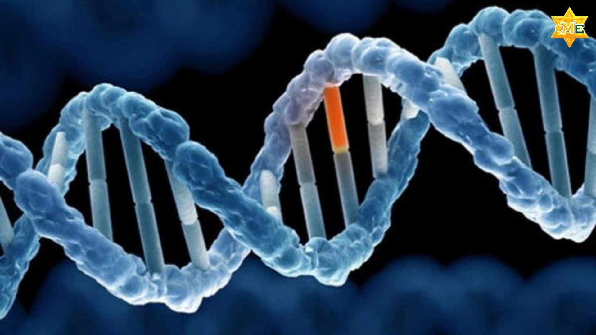 nguyên nhân rối loạn phổ tự kỷ ở trẻ