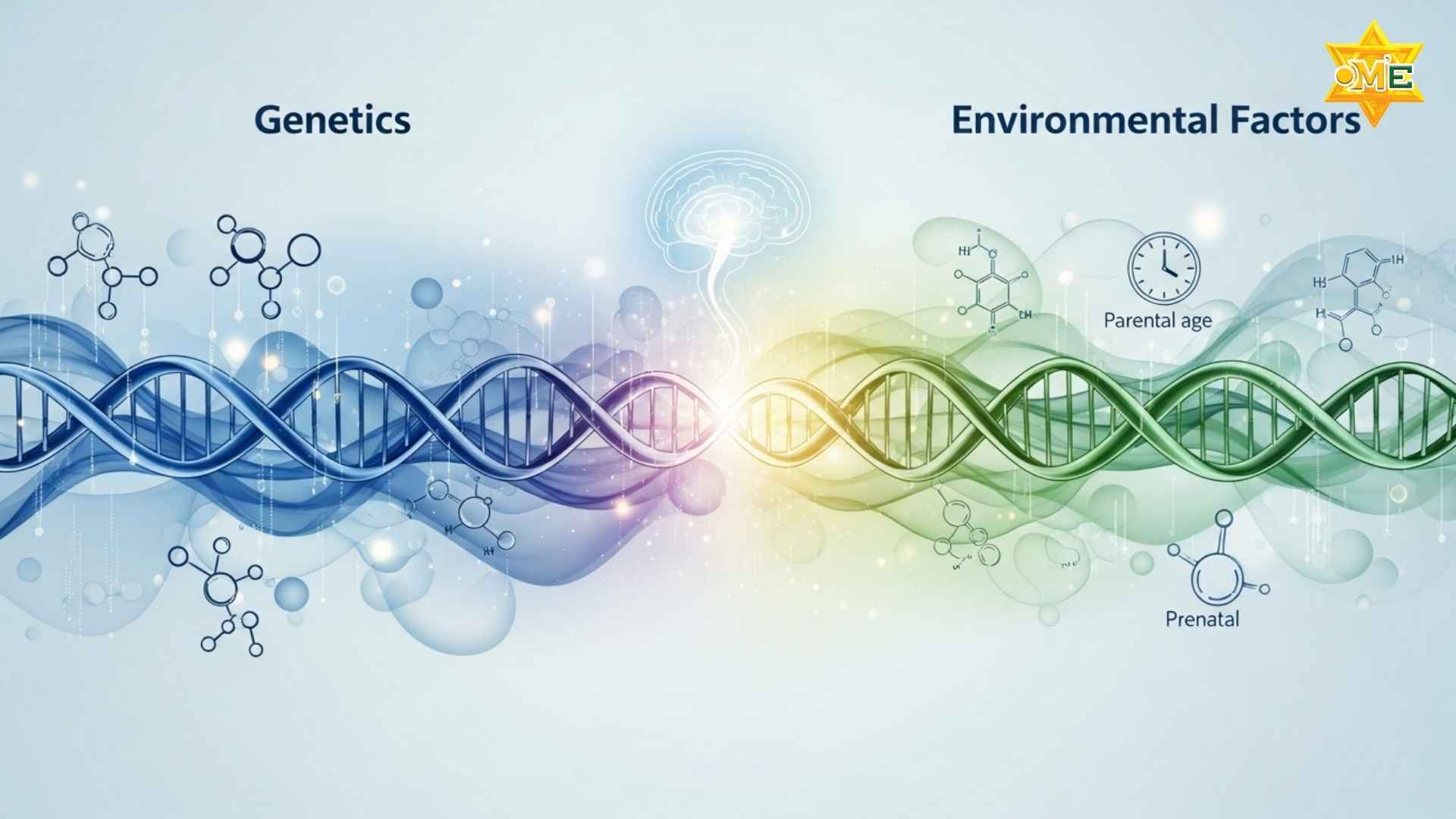 rối loạn phổ tự kỷ chức năng cao