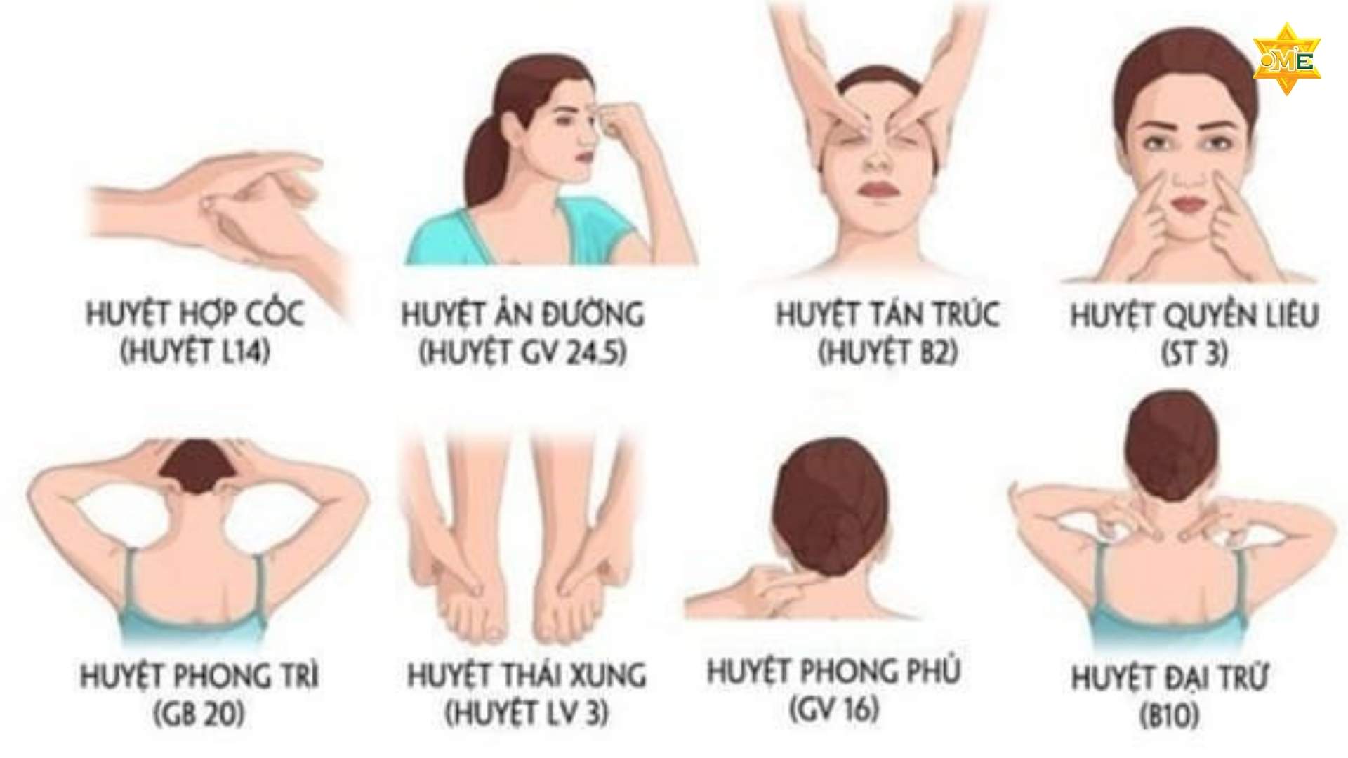 Tự Học Bấm Huyệt Cơ Bản Với 19 Thủ Thuật Xoa Bóp Bấm Huyệt