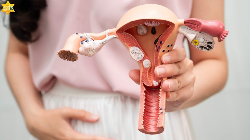 Khóa học Sản phụ khoa