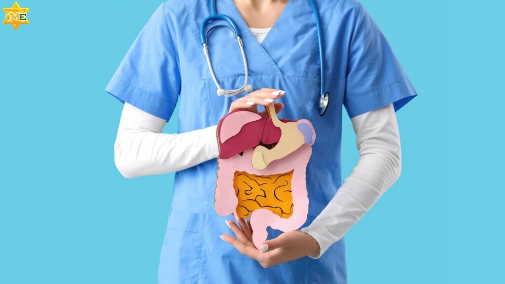 Khóa học về hệ tiêu hóa.