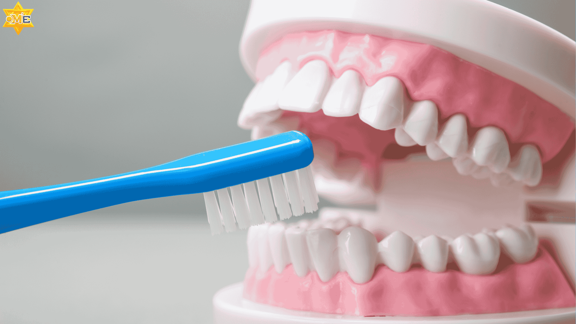 Khóa học Răng – Hàm – Mặt