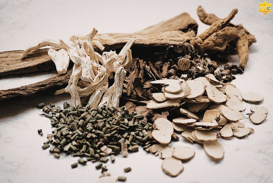 Bạn nên chọn khóa học dược liệu online nào dựa trên mục tiêu của mình?