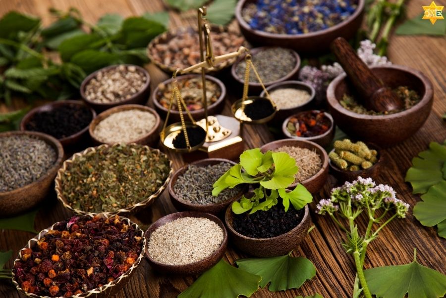 Nên học dược liệu ở đâu uy tín và hiệu quả?