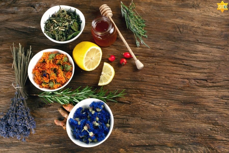 Khóa học dược liệu online mang lại những lợi ích gì?