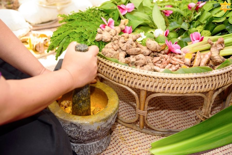 Danh Sách Các Khóa Học Dược Liệu Online – OME Việt Nam