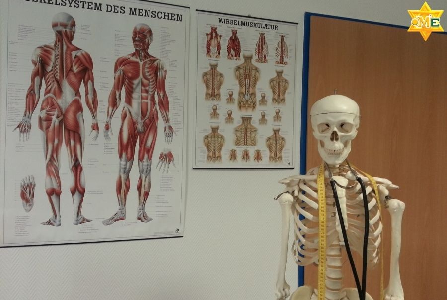 Học Giải Phẫu Nền Tảng Online Bài Bản Ngay Tại Nhà – OME Việt Nam