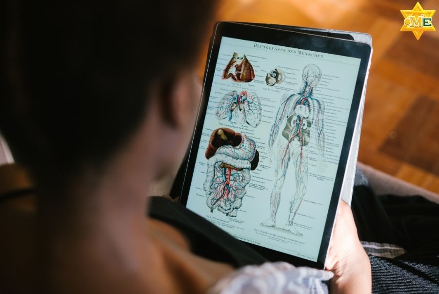 Khóa Học Giải Phẫu Online mang lại những lợi ích gì?