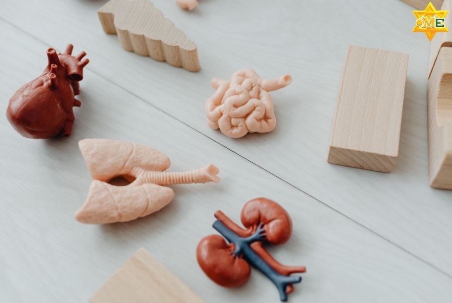 Phương pháp giảng dạy độc quyền: 3D – Cảm Nhận – Ứng Dụng trên nền tảng Online