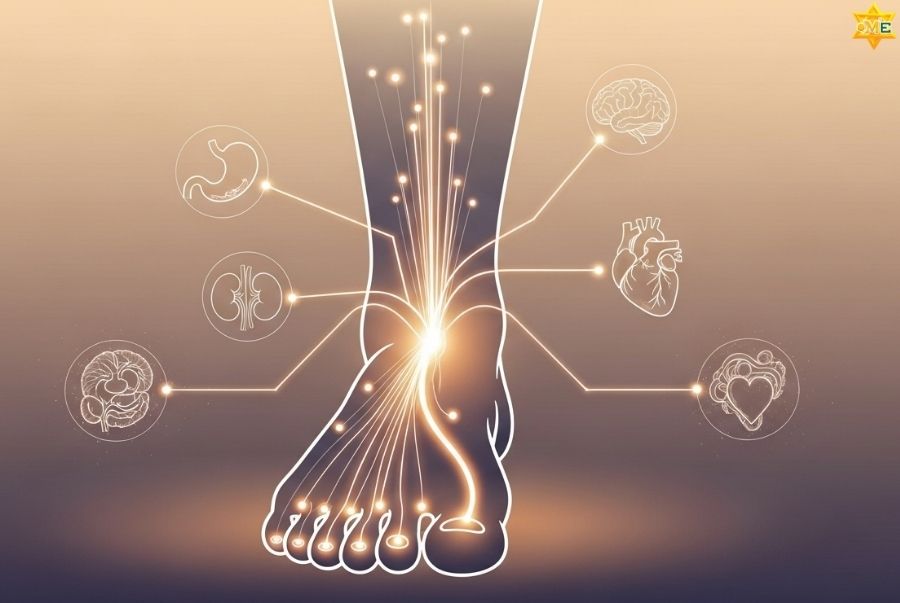 Bấm huyệt chân có tác dụng gì đối với sức khỏe?