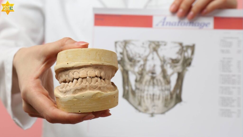 Khóa học chăm sóc răng - hàm - mặt.