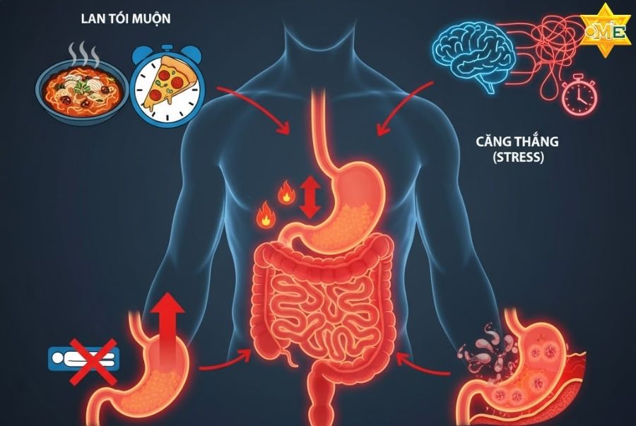 Tại sao đau dạ dày về đêm? 4 nguyên nhân phổ biến nhất