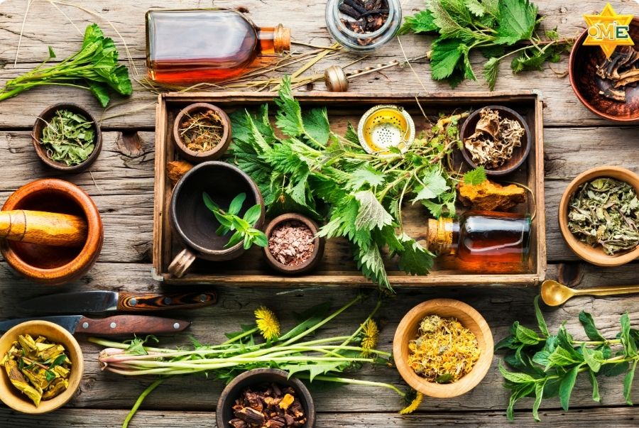 Khóa học Y học cổ truyền online mang lại những lợi ích gì?