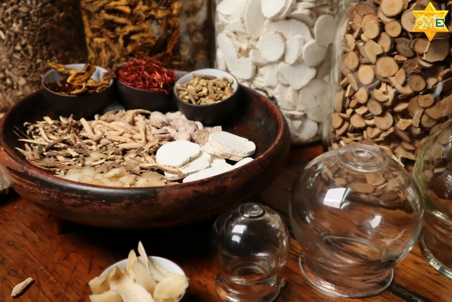 Bạn nên chọn khóa học y học cổ truyền online nào dựa trên mục tiêu của mình?