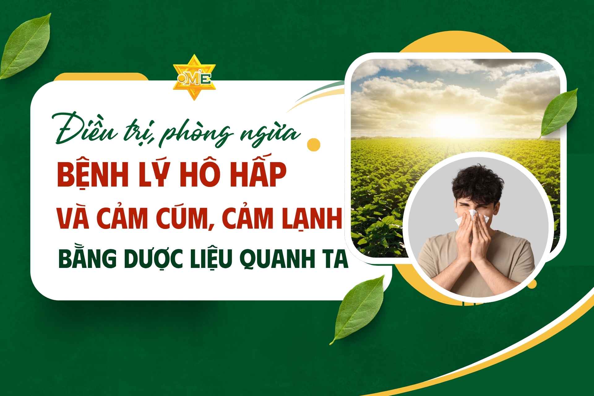 Điều trị, phòng ngừa bệnh lý hô hấp và cảm cúm, cảm lạnh bằng dược liệu quanh ta