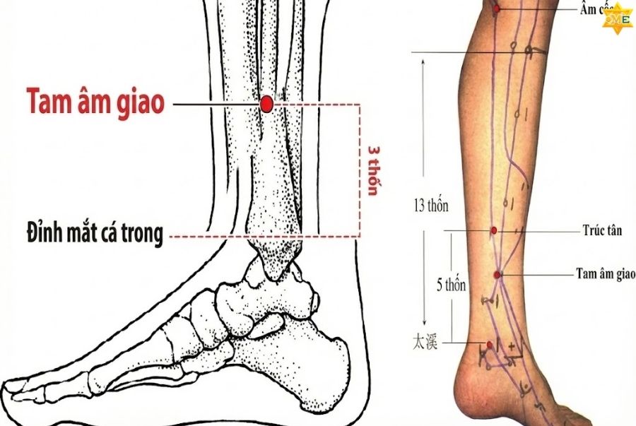 Huyệt Tam Âm Giao là gì và nằm ở đâu?