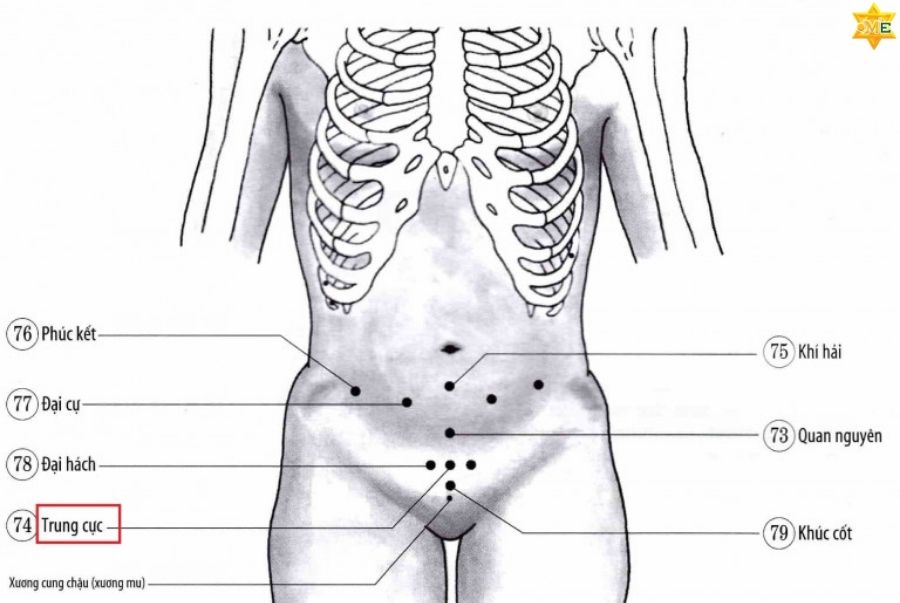 Huyệt Trung Cực là gì? Huyệt Trung Cực thuộc kinh nào?