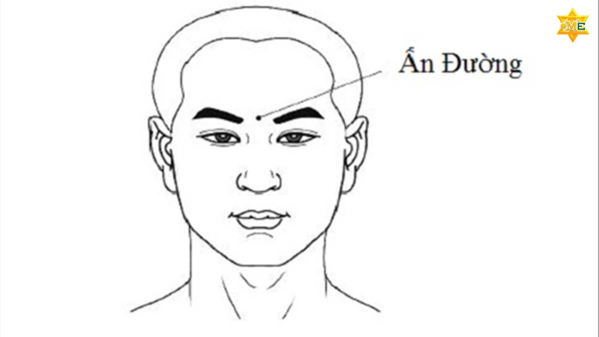 Tìm Hiểu Các Huyệt Trên Mặt Và Tác Dụng Của Chúng