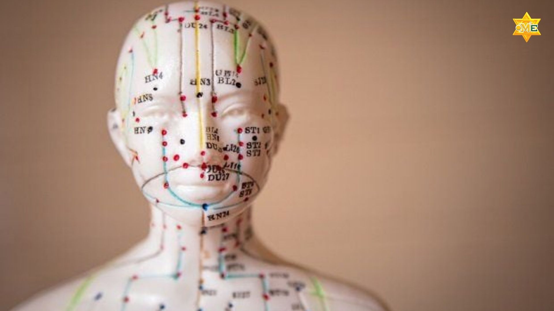 Giải Mã Cơ Chế Tác Động Của Bấm Huyệt