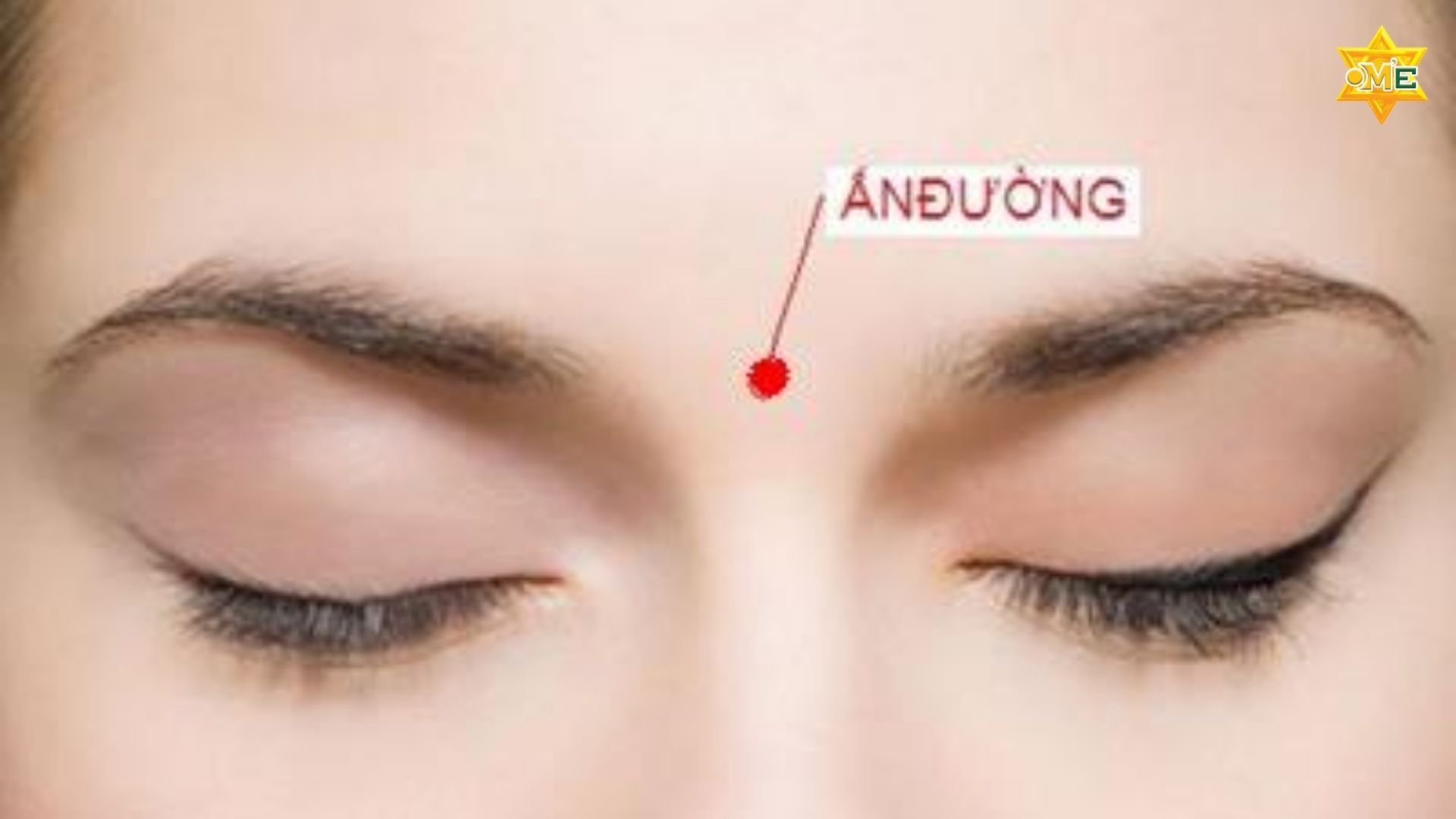 Bản Đồ Các Huyệt Trên Mặt Y Học Cổ Truyền