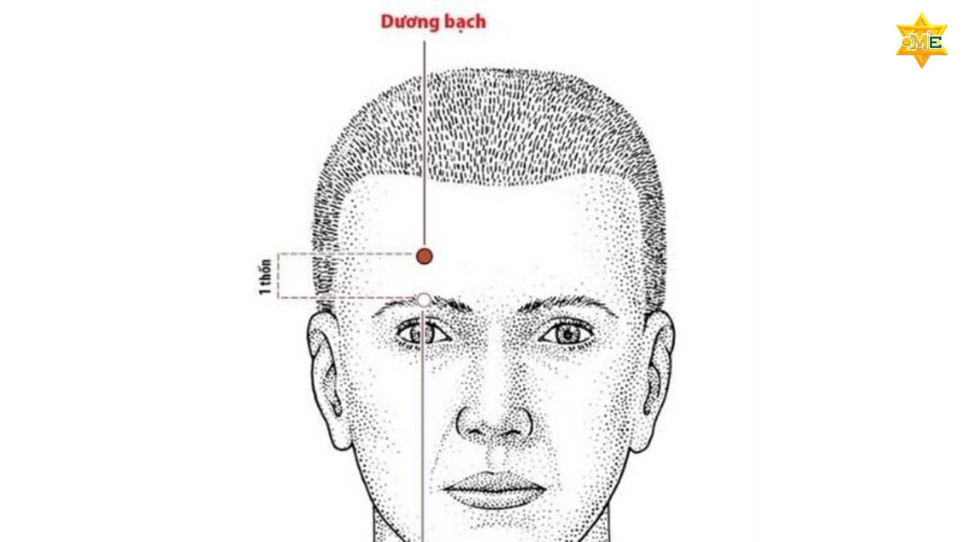 Bản Đồ Các Huyệt Trên Mặt Y Học Cổ Truyền