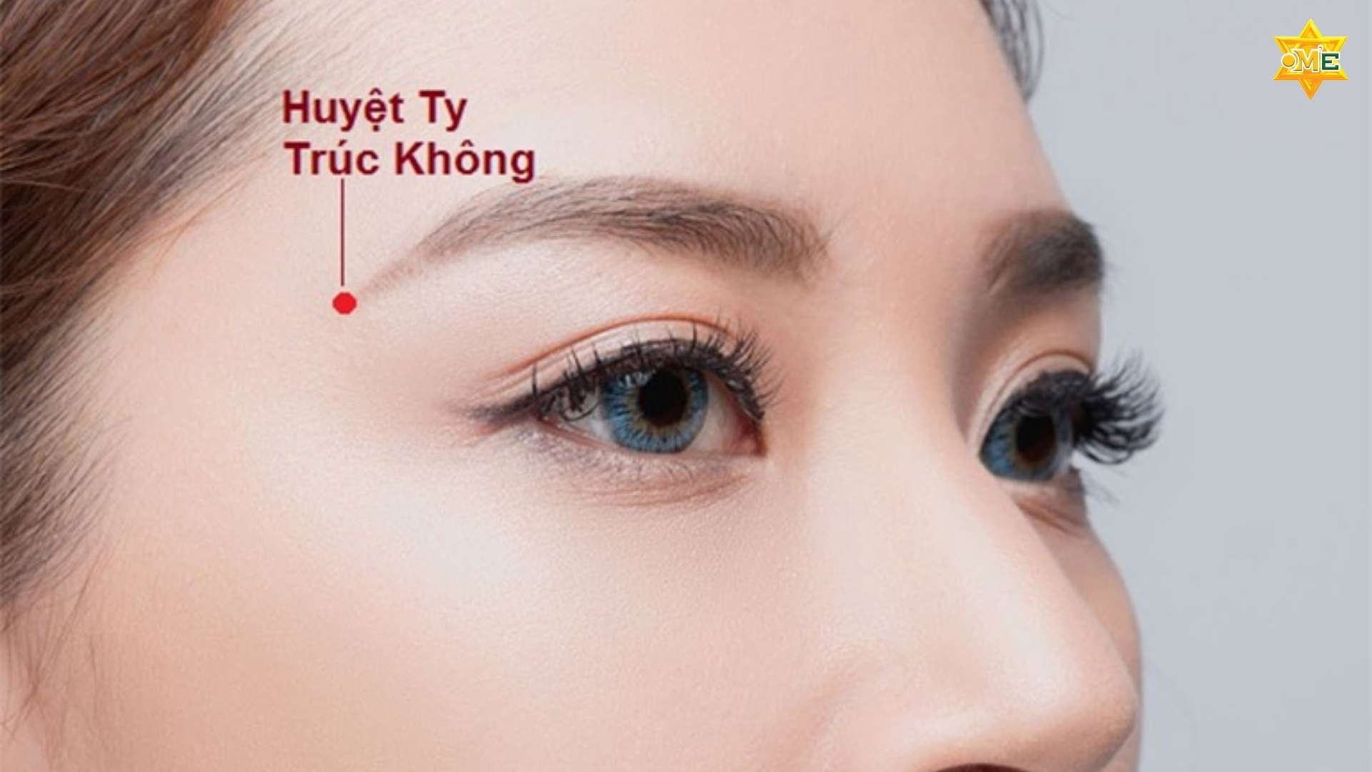 Bản Đồ Các Huyệt Trên Mặt Y Học Cổ Truyền