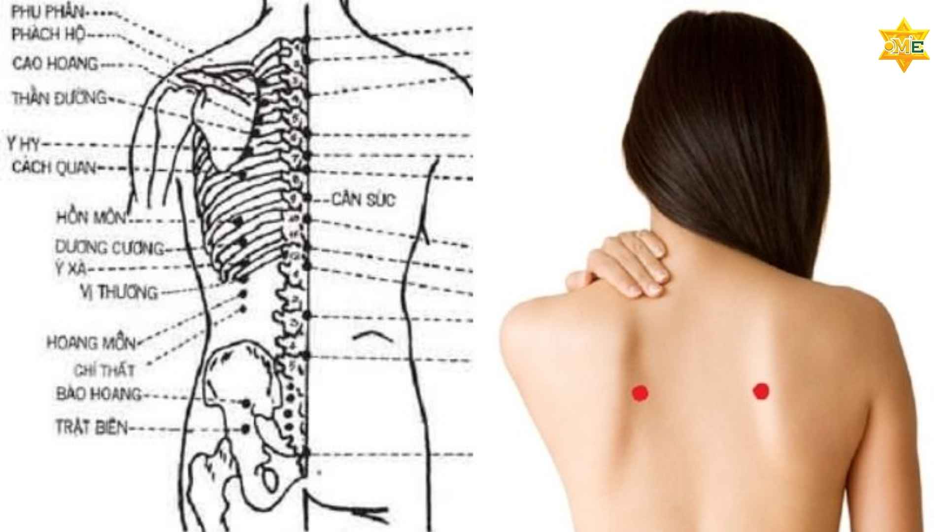 Vị Trí Các Huyệt Thường Dùng Chuẩn Y Khoa