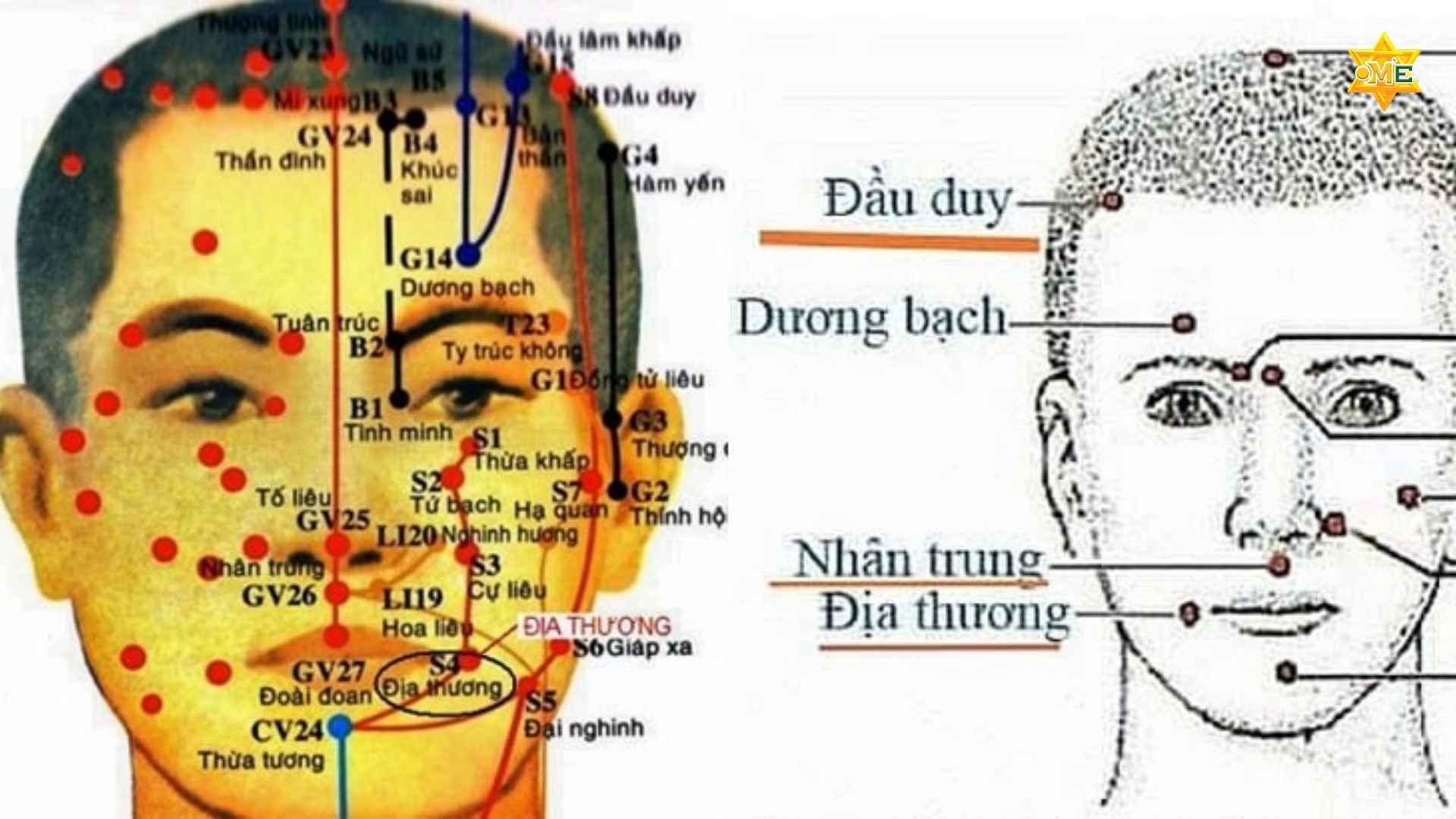 Hệ Thống Huyệt Đạo Trên Mặt Thường Dùng