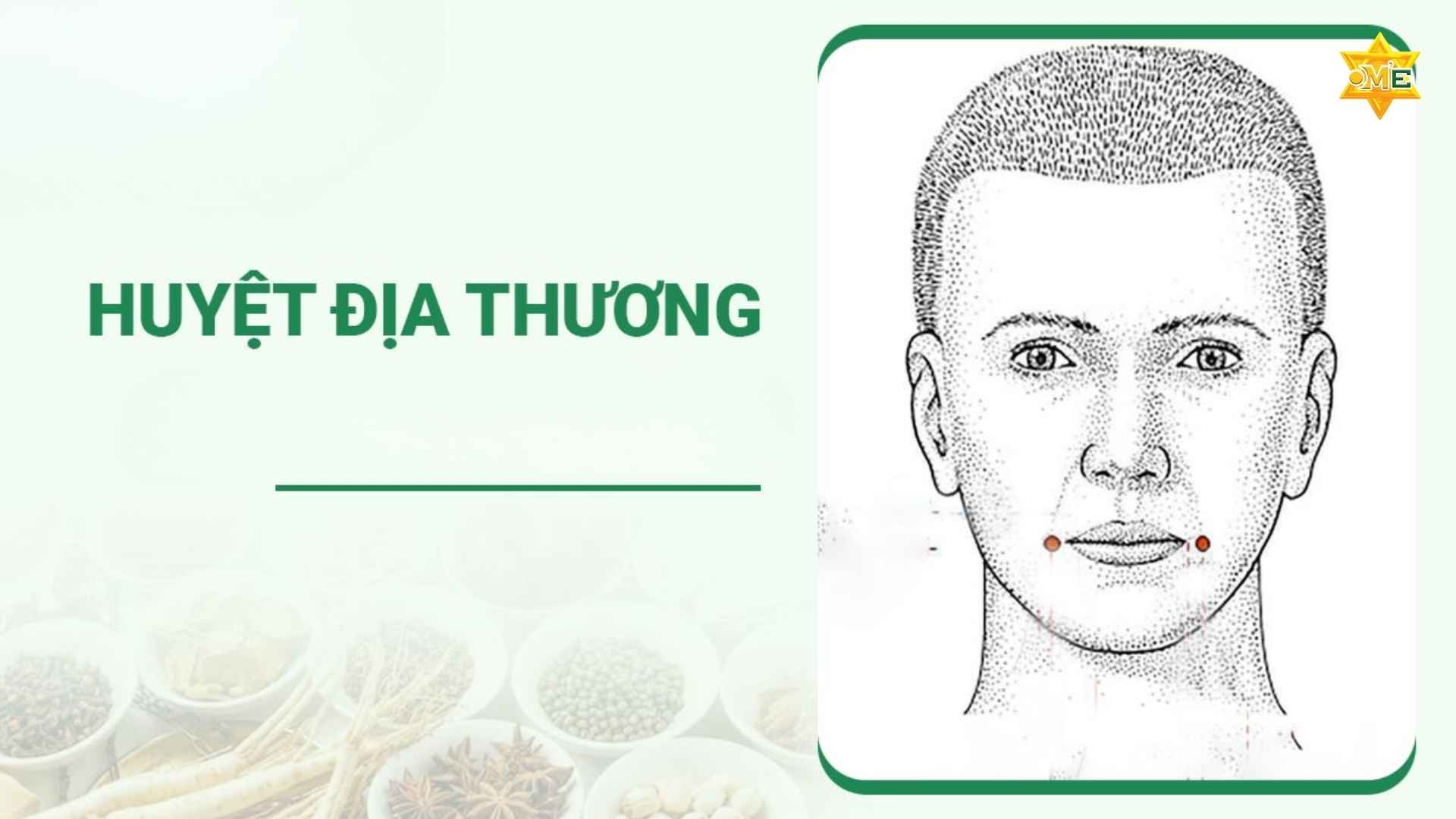 Bản Đồ Các Huyệt Trên Mặt Y Học Cổ Truyền