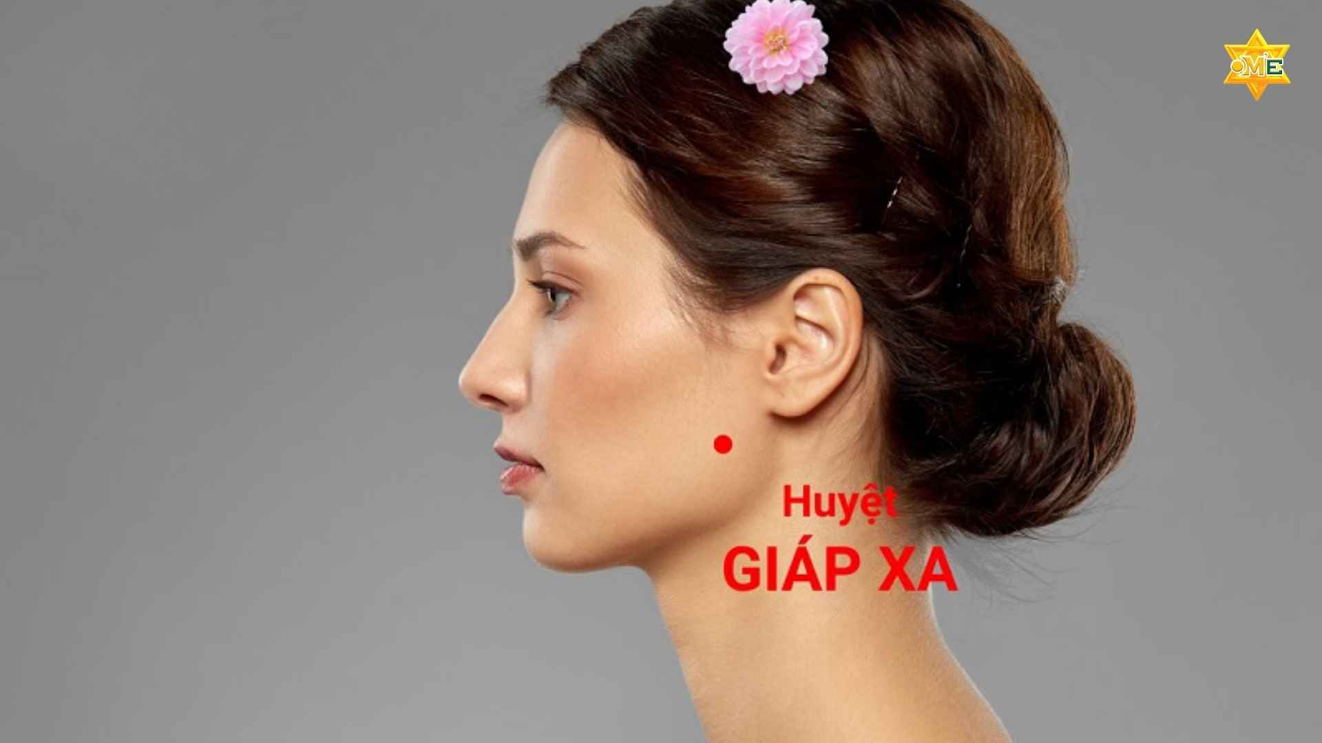 Bản Đồ Các Huyệt Trên Mặt Y Học Cổ Truyền