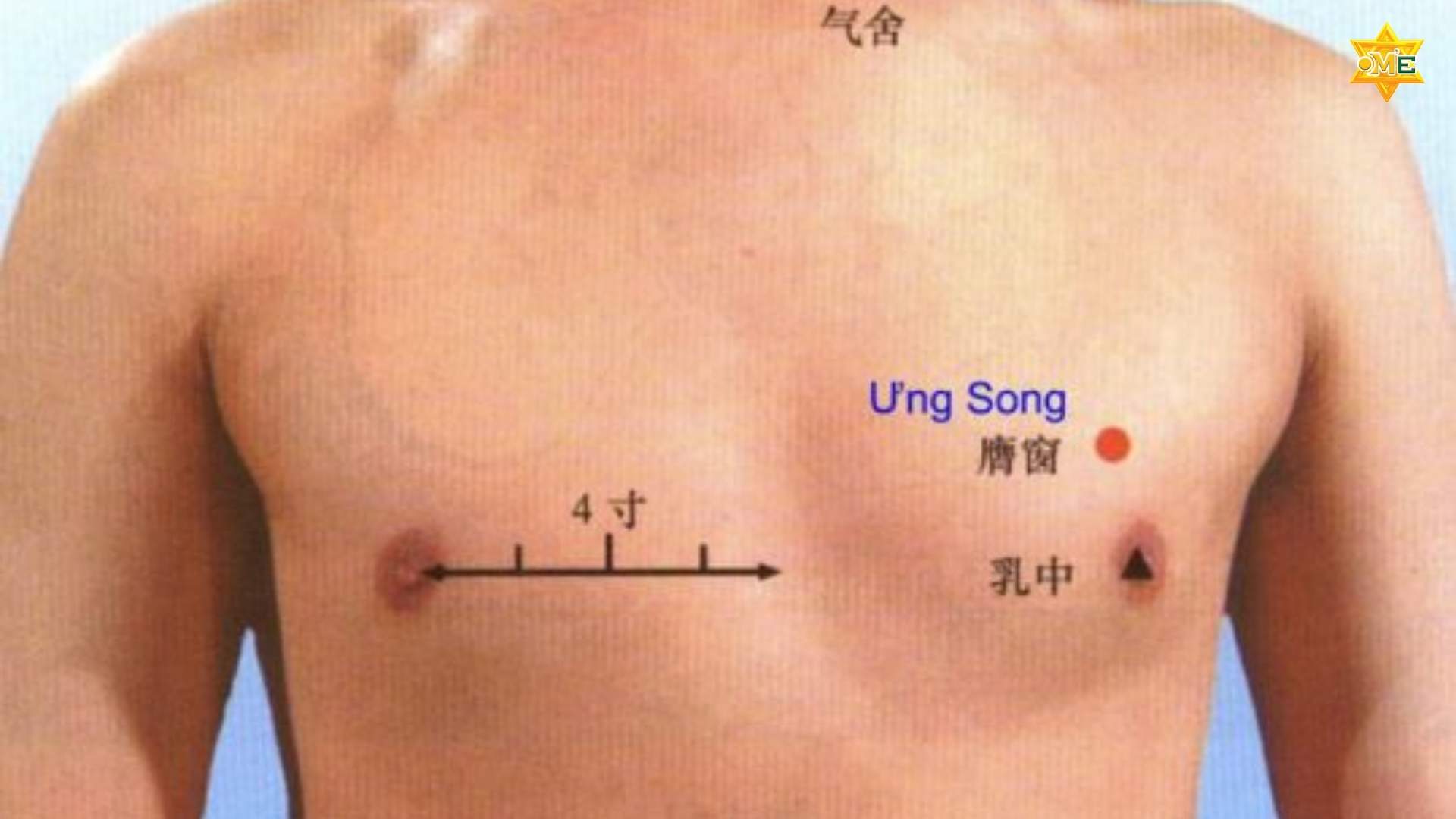 Cách xác định huyệt trên ngực chuẩn xác nhất