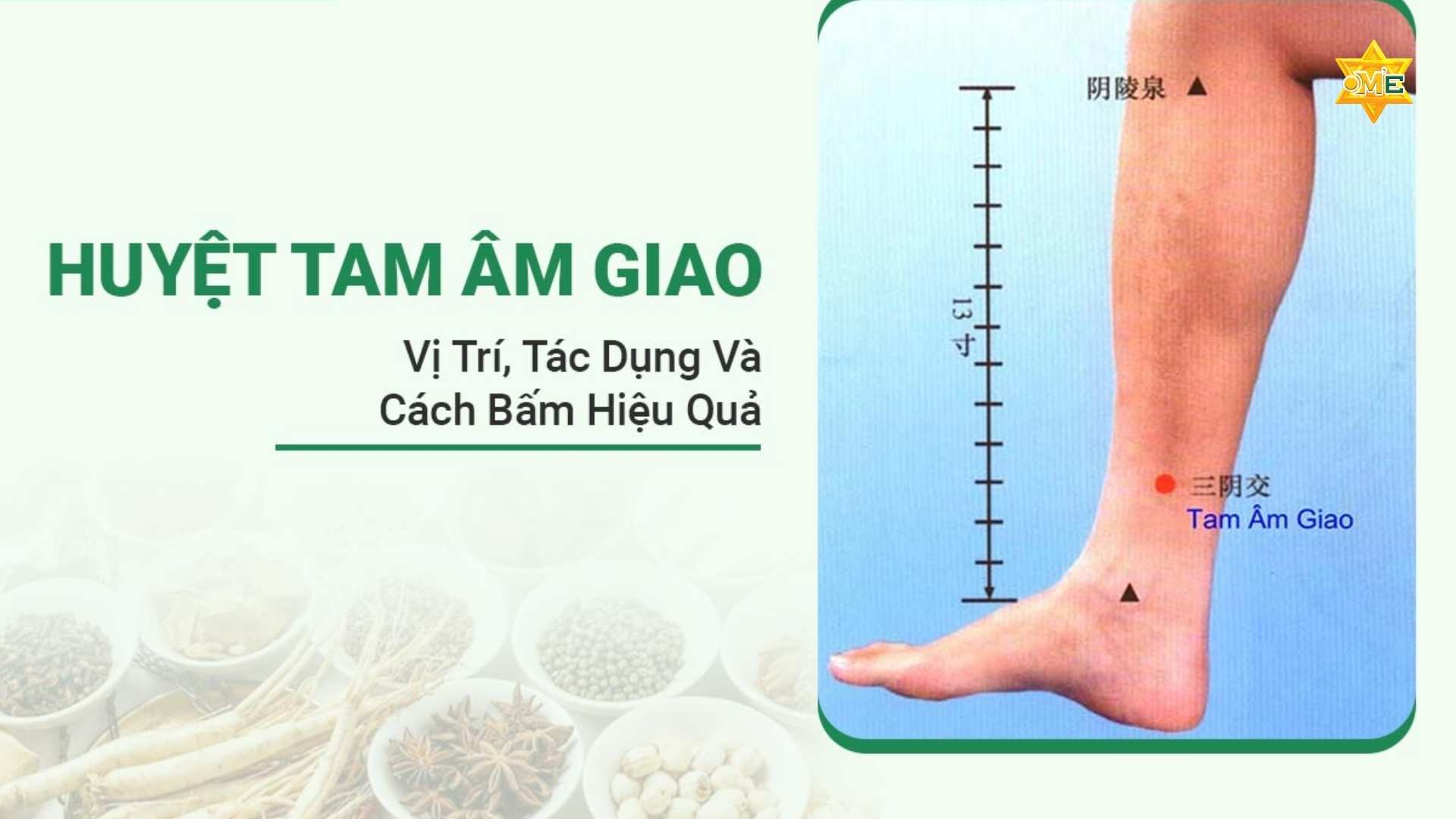 Hướng dẫn cách xác định huyệt tam túc ( túc tam lý) chuẩn xác