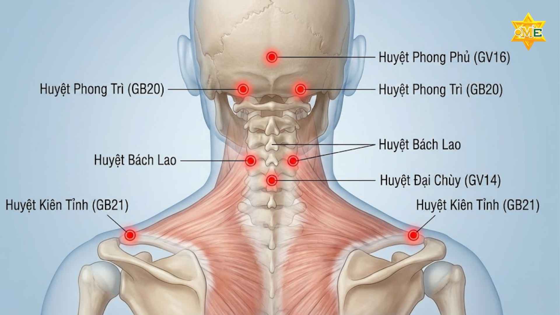 Lắm Rõ Lợi Ích Của Các Huyệt Vị Trên Cổ