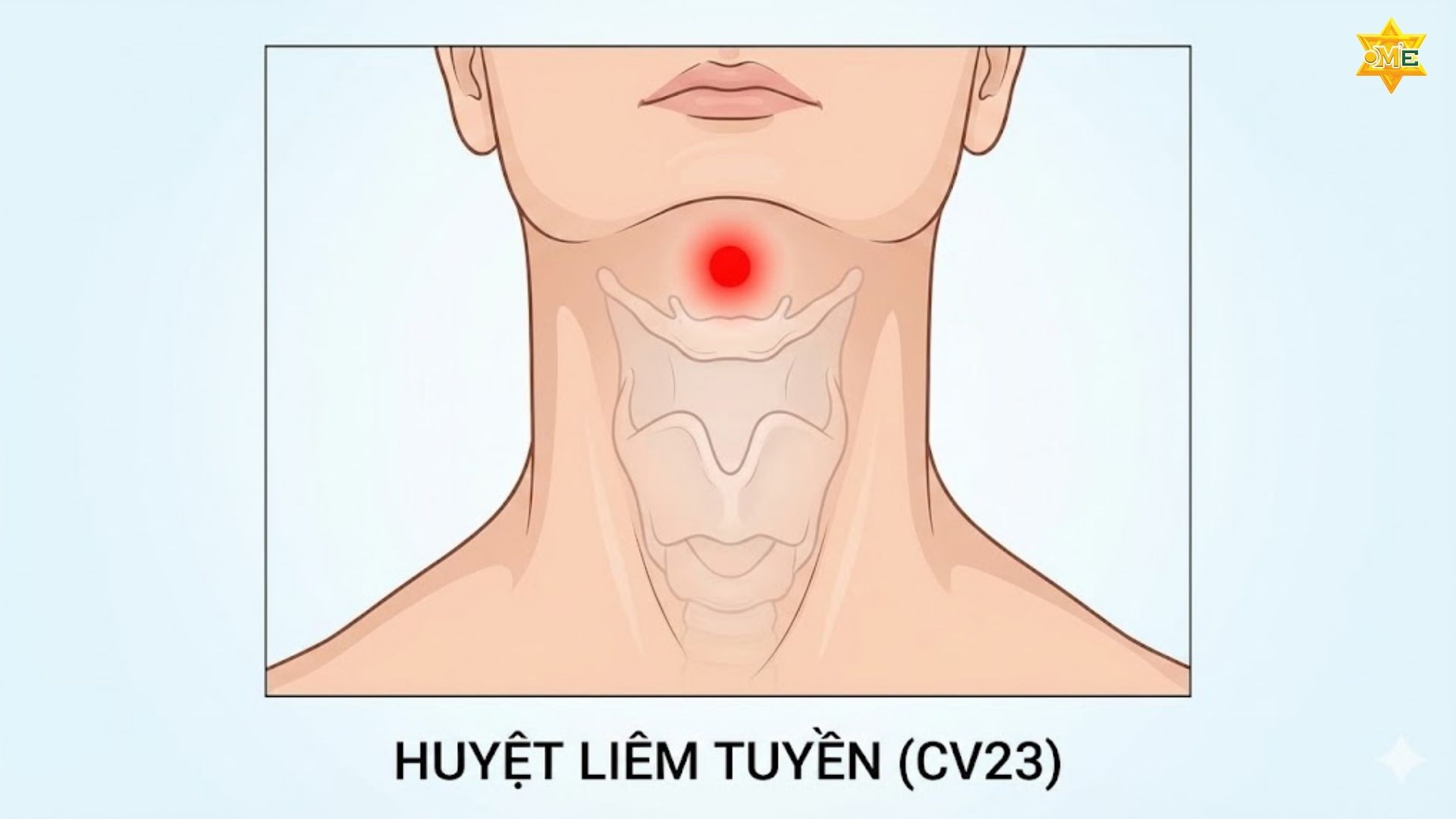 Sơ Đồ Các Huyệt Vùng Cổ Vai Gáy